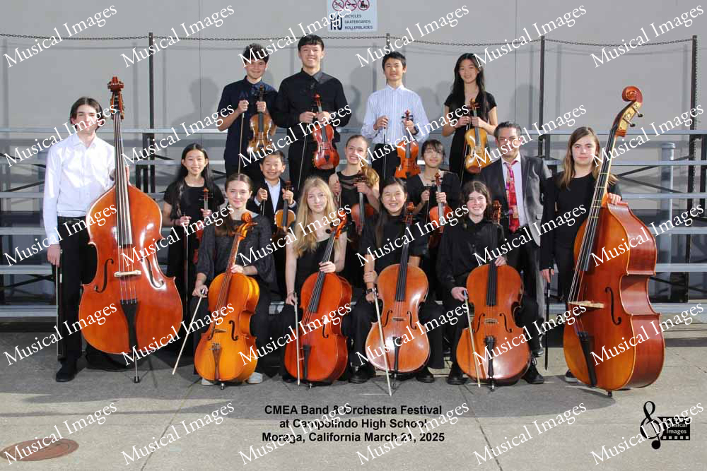 Musical Images